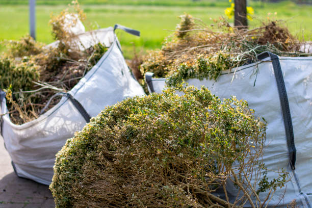 Best Dumpster Rental Services  in Lake Belvedere Estates, FL